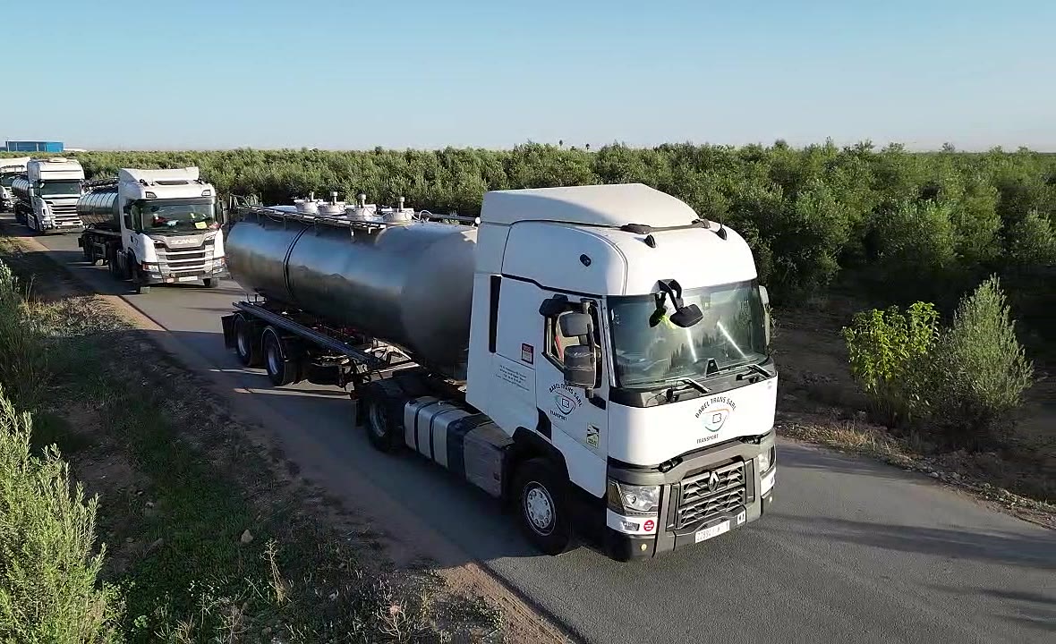 Convoi de camions citernes Babel Transport sur une route bordée d'oliviers